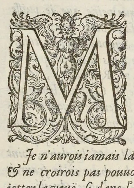 An illustration from Les familles de la France illvstrées par les monvmens des medailles anciennes et modernes : tirées des plus rares & curieux cabinets du royaume, sur les metaux d'or, d'argent & de bronze ..., 1636, leaf 6