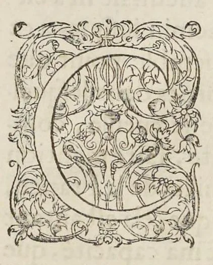 An illustration from Les familles de la France illvstrées par les monvmens des medailles anciennes et modernes : tirées des plus rares & curieux cabinets du royaume, sur les metaux d'or, d'argent & de bronze ..., 1636, leaf 8
