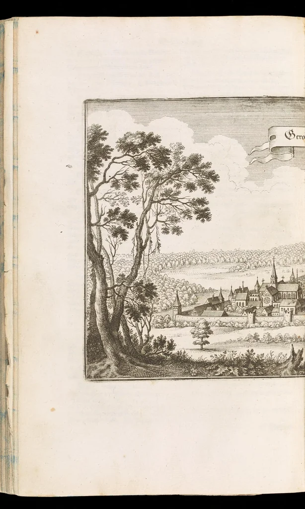 An illustration from Topographia Franconiæ : das ist, Beschreibung vnd eÿgentliche Contrafactur der vornehmbsten Stätte, vnd Plätze des Frankenlandes vnd deren, die zu dem hochlöbischen Fränkischen Craisse gezogen werden, 1648, leaf 219