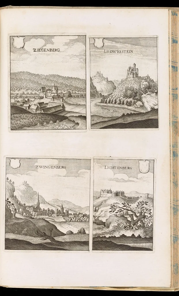 An illustration from Topographia Hassiæ et regionum vicinarum : das ist, Beschreibung der vornẽbsten Stätte vnd Plätze in Hessen vnd den benachbahrten Landtschaften als Buchen, Nassau, Betteraw, Westerwaldt, Wittgenstein, Lohngaw, vnd andern, 1646, leaf 272