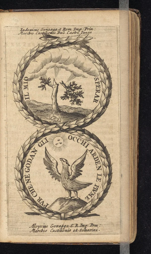 An illustration from Symbola varia diversorum principum, archiducum, ducum, comitum & marchionum totius Italiae : cum facili isagoge D. Anselmi de Boot, 1686, leaf 256
