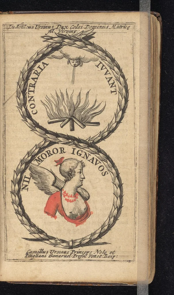An illustration from Symbola varia diversorum principum, archiducum, ducum, comitum & marchionum totius Italiae : cum facili isagoge D. Anselmi de Boot, 1686, leaf 290
