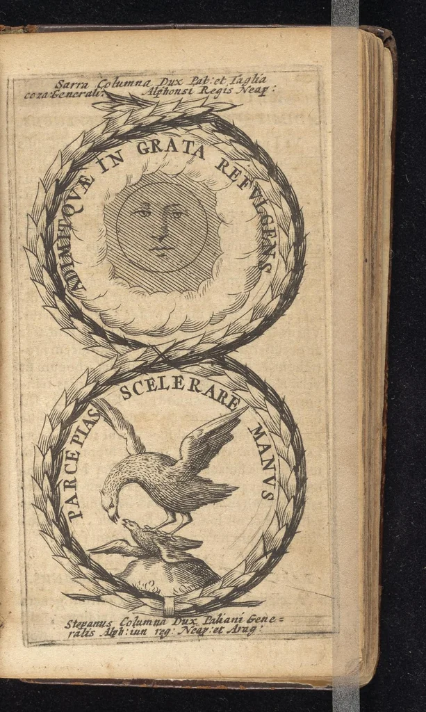 An illustration from Symbola varia diversorum principum, archiducum, ducum, comitum & marchionum totius Italiae : cum facili isagoge D. Anselmi de Boot, 1686, leaf 306