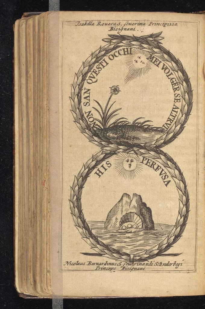 An illustration from Symbola varia diversorum principum, archiducum, ducum, comitum & marchionum totius Italiae : cum facili isagoge D. Anselmi de Boot, 1686, leaf 341