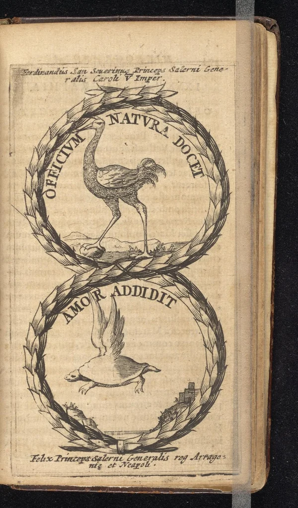 An illustration from Symbola varia diversorum principum, archiducum, ducum, comitum & marchionum totius Italiae : cum facili isagoge D. Anselmi de Boot, 1686, leaf 380