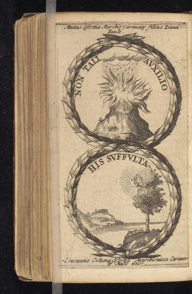 An illustration from Symbola varia diversorum principum, archiducum, ducum, comitum & marchionum totius Italiae : cum facili isagoge D. Anselmi de Boot, 1686, leaf 441