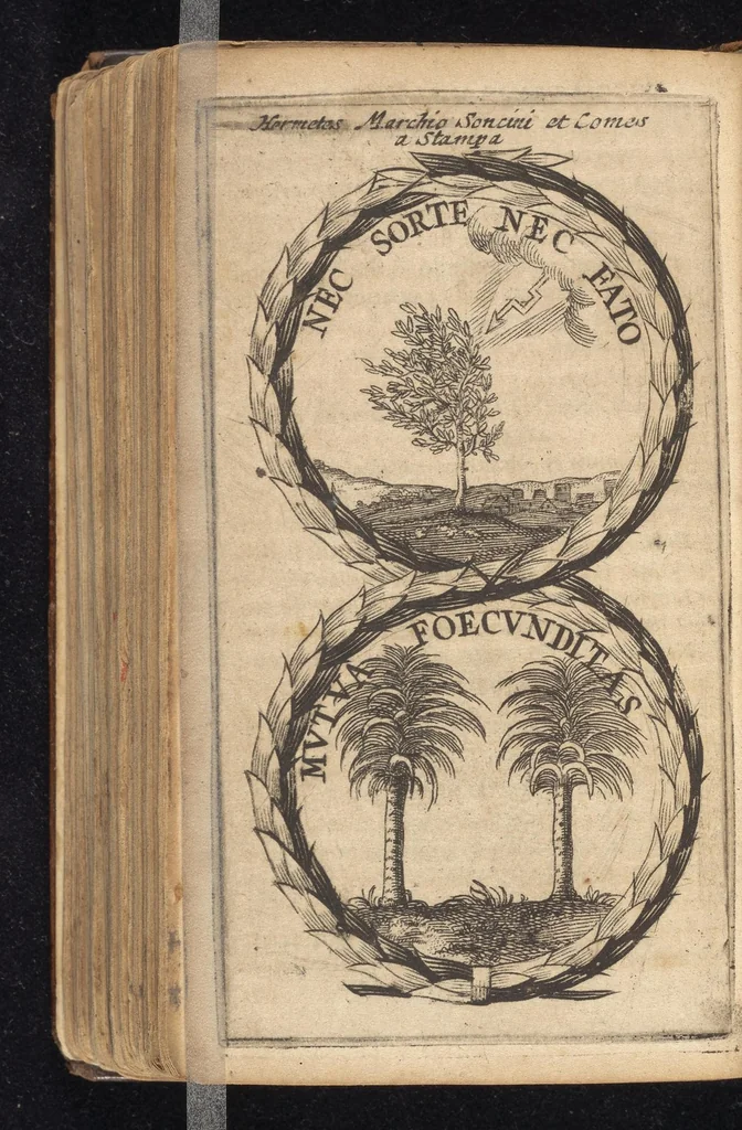 An illustration from Symbola varia diversorum principum, archiducum, ducum, comitum & marchionum totius Italiae : cum facili isagoge D. Anselmi de Boot, 1686, leaf 467