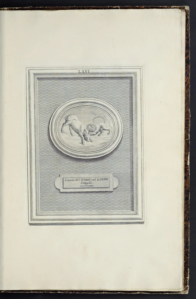 An illustration from Le gemme antiche di Anton-Maria Zanetti di Girolamo, 1750, leaf 308
