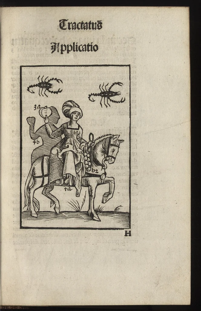 An illustration from Logica memoratiua : chartiludiũ logice, siue, totius dialectice memoria : & nouus Petri Hyspani textus emendatus : cum iucundo pictasmatis exercitio, 1509, leaf 104