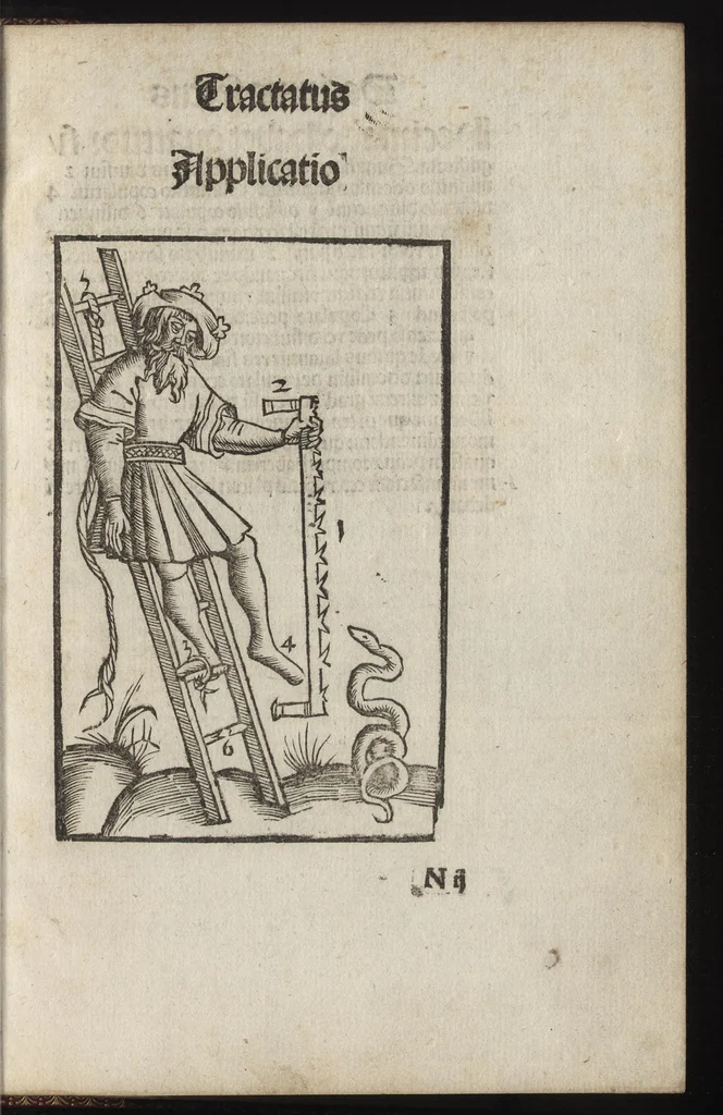An illustration from Logica memoratiua : chartiludiũ logice, siue, totius dialectice memoria : & nouus Petri Hyspani textus emendatus : cum iucundo pictasmatis exercitio, 1509, leaf 166