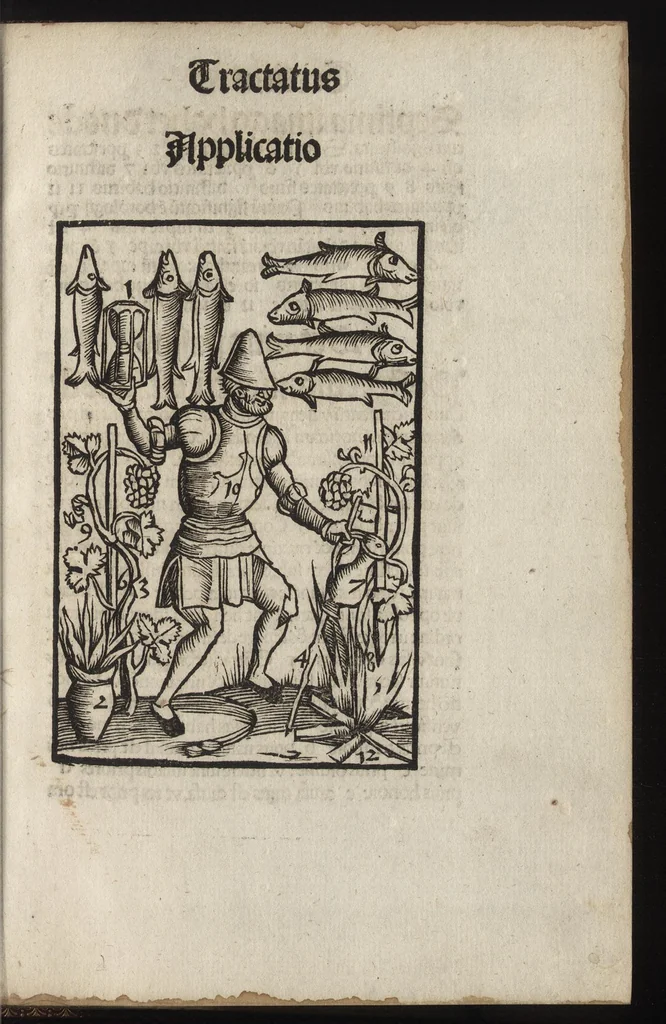 An illustration from Logica memoratiua : chartiludiũ logice, siue, totius dialectice memoria : & nouus Petri Hyspani textus emendatus : cum iucundo pictasmatis exercitio, 1509, leaf 84