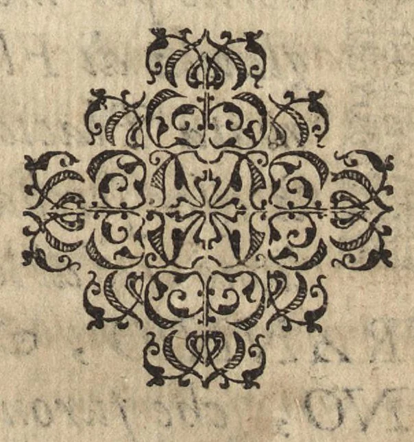 An illustration from Historia dell'origine et svccessione dell'illvstrissima famiglia Malaspina, 1585, leaf 62
