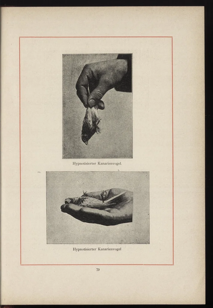 An illustration from Die Magie des XIX. Jahrhunderts als Kunst und als Geheimwissenschaft, 1896, leaf 90