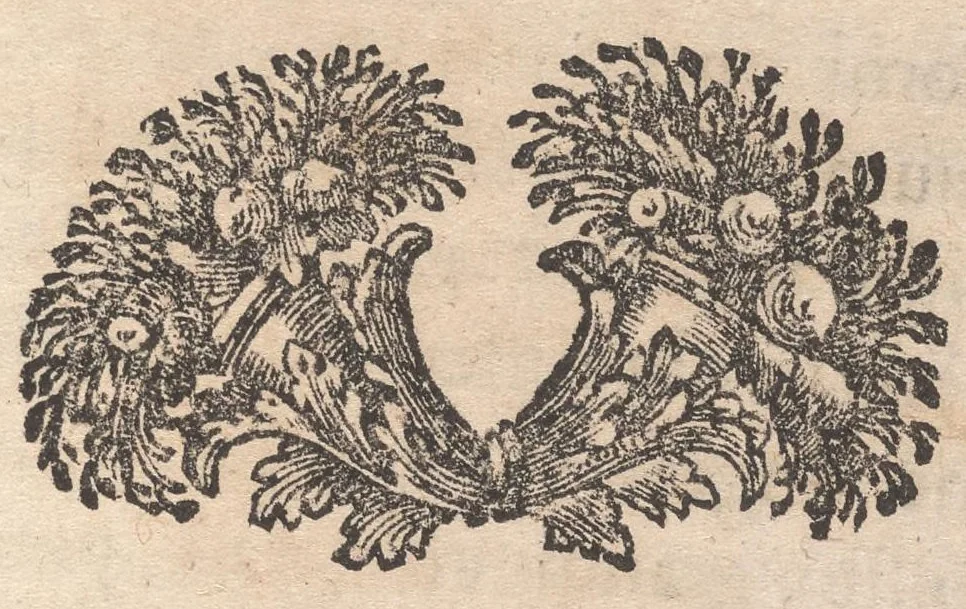An illustration from Abb. Jo. Bapt. Pacichellii J. ac Th. C. sereniss. Parmae ac Placentia ducis in aula ac regno Neapolis ablegati ... Schediasma juridico-philologicvm tripartitum in otio romano caniculari anni Christiani M.DC.XCII : adjecto duplici, titulorum, ac rerum syllabo, 1693, leaf 6