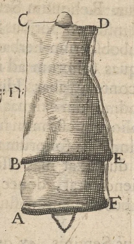 An illustration from Arcana naturae, ope & beneficio exquisitissimorum microscopiorum detecta, variisque experimentis demonstrata : una cum discursu & ulteriori dilucidatione, epistolis suis ad celeberrimum, quod Ser.mi Magnae Brittanniae regis auspicio Londini floret, philosophorum collegium datis, comprehensa, 1696, leaf 309