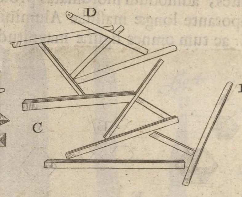 An illustration from Arcana naturae, ope & beneficio exquisitissimorum microscopiorum detecta, variisque experimentis demonstrata : una cum discursu & ulteriori dilucidatione, epistolis suis ad celeberrimum, quod Ser.mi Magnae Brittanniae regis auspicio Londini floret, philosophorum collegium datis, comprehensa, 1696, leaf 357