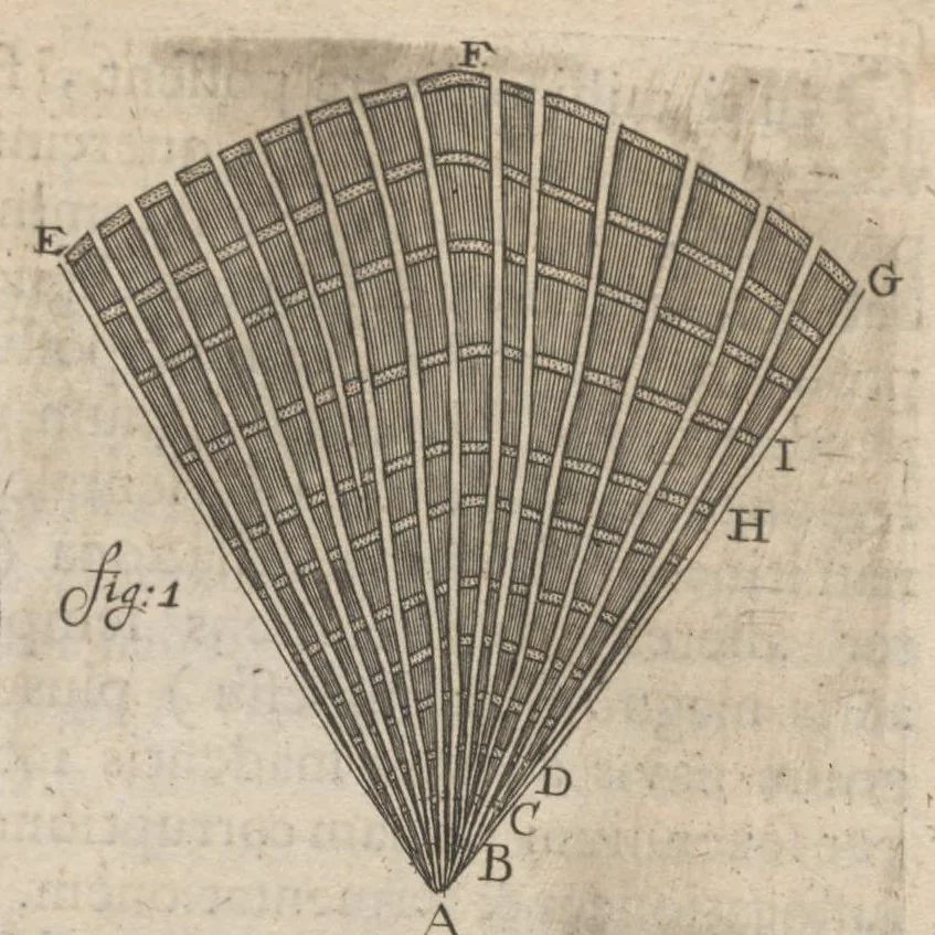 An illustration from Arcana naturae, ope & beneficio exquisitissimorum microscopiorum detecta, variisque experimentis demonstrata : una cum discursu & ulteriori dilucidatione, epistolis suis ad celeberrimum, quod Ser.mi Magnae Brittanniae regis auspicio Londini floret, philosophorum collegium datis, comprehensa, 1696, leaf 488