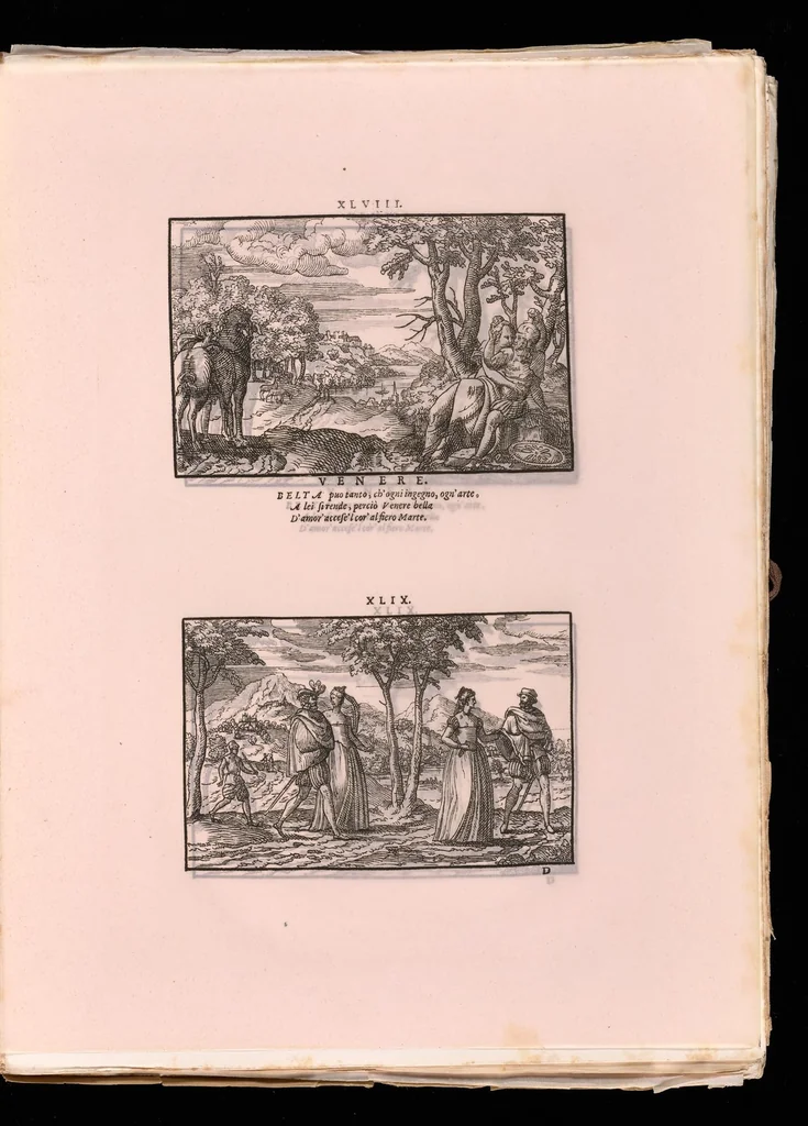 An illustration from Livres à dentelles, 1887, leaf 16