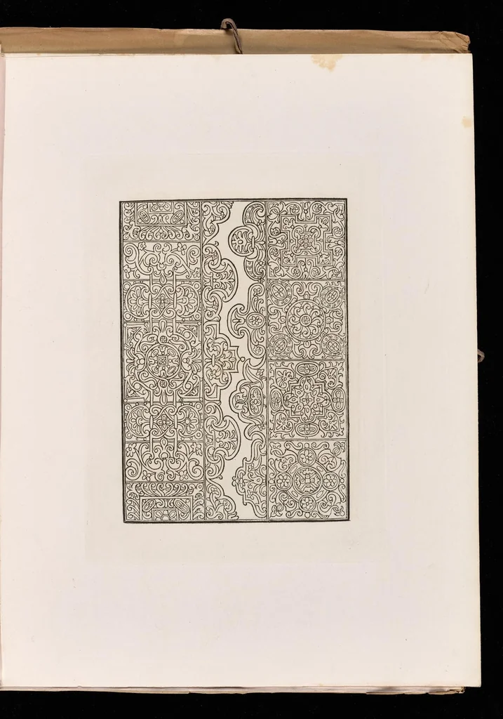 An illustration from Livres à dentelles, 1887, leaf 102