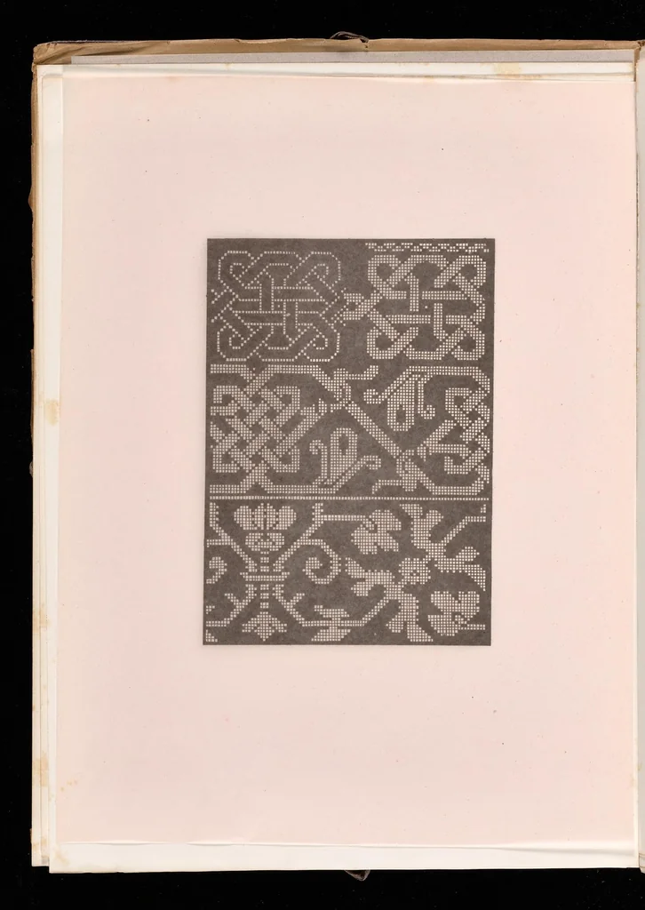 An illustration from Livres à dentelles, 1887, leaf 17