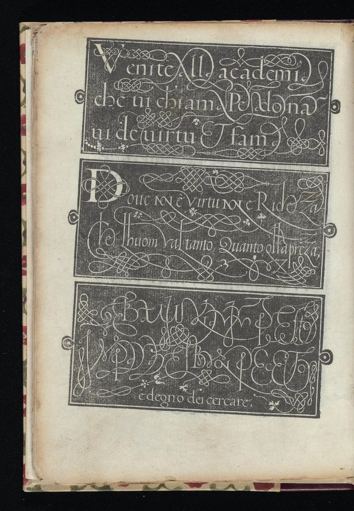 An illustration from Lo presente libro insegna la vera arte delo excelle[n]te scriuere de diuerse varie sorti de litere : le quali se fano p[e]r geometrica ragione & con la presente opera ognuno le potra imparare impochi giorni p[er] lo amaistramento, ragione, & essempli, come qui seguente vederai, 1544, leaf 47