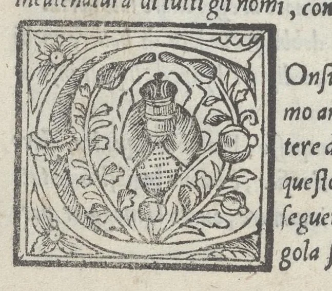 An illustration from Lo presente libro insegna la vera arte delo excelle[n]te scriuere de diuerse varie sorti de litere : le quali se fano p[e]r geometrica ragione & con la presente opera ognuno le potra imparare impochi giorni p[er] lo amaistramento, ragione, & essempli, come qui seguente vederai, 1544, leaf 59
