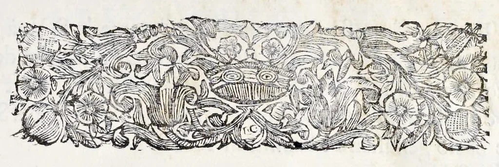 An illustration from L'arte di restituire à Roma la tralasciata nauigatione del suo Teuere : divisa in tre parti. 1. Gl'impedimenti, che sono nell'alueo del Teuere da Roma à Perugia, e suoi rimedij. 2. Le difficoltà, che sono nella nauigatione del Teuere da Roma sino al mare, e suoi rimedij. 3. Nella quale si discorre perche Roma è stata fabricata, e mantenuta sù le sponde del Teuere, e si tratta d'alcun'altre propositioni proficue per lo stato ecclesiastico., 1685, leaf 8