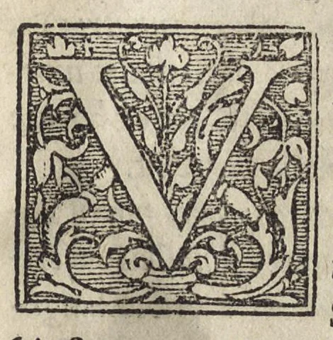 An illustration from Georgii Fabricii Chemnicensis Roma, liber ad opt. autorum lectionem apprimè utilis ac necessarius : id quod ex capitum eius catalogo, nuncupatoriae epistolae subiecto facilè liquet : eivsdem Itinervm liber unus : cum locuplete rerum & uerborum in utroq[ue] memorabilium indice, 1551, leaf 20