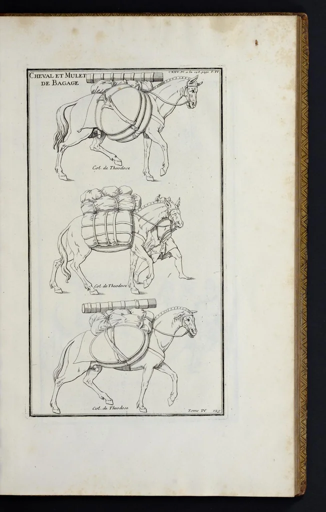 An illustration from L'antiquité expliquée et représentée en figures ..., 1719, leaf 62