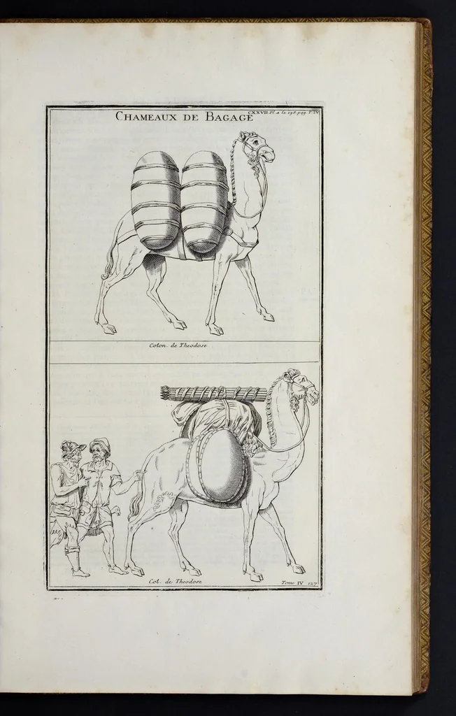 An illustration from L'antiquité expliquée et représentée en figures ..., 1719, leaf 66