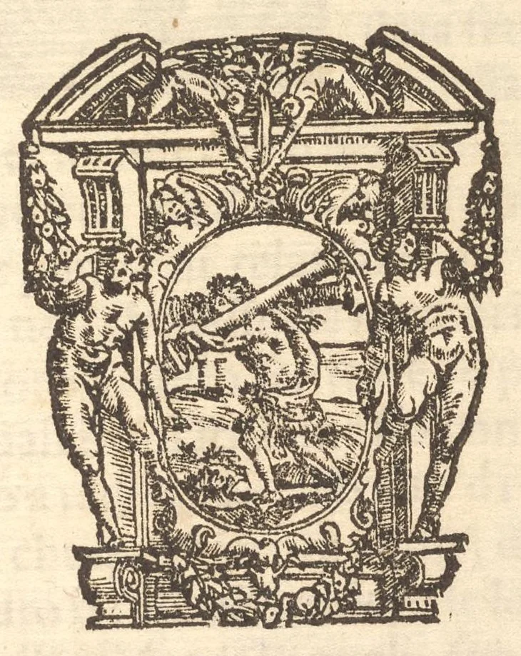 An illustration from L'antiqvita, sito, chiese, corpi santi, reliqvie et statve di Roma. Con l'origine e nobilta di Napoli, 1569, leaf 196