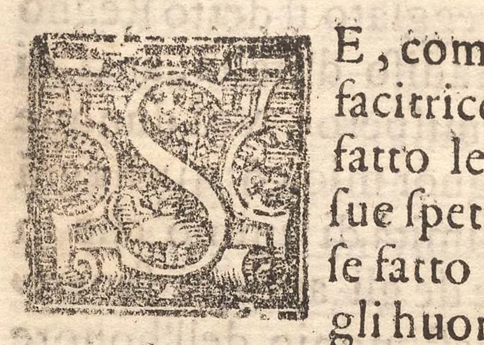 An illustration from L'antiqvita, sito, chiese, corpi santi, reliqvie et statve di Roma. Con l'origine e nobilta di Napoli, 1569, leaf 9