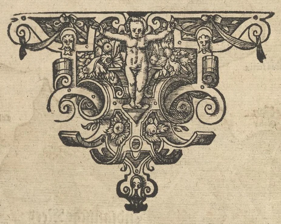 An illustration from Itinerarium Sacrae Scripturae, das ist, Ein Reisebuch uber die gantze heilige Schrifft in zwey Bücher getheilet : der erste Theil begreifft alle Reisen der lieben Patriarchen, Richter, Könige, Propheten, Fürsten, etc. nach deutschen Meilen ausgerechnet vnnd die Ländere Städte, Wasser, Berg vnd Thal, deren in heiliger Schrifft gedacht wird, nach aller Gelegenheit und Gestalt beschrieben ... der ander gehet auff das Newe Testament vnd zeiget an wie die Jungfraw Maria, Joseph, die Weisen aus Morgenland, der Herr Jesus Christus vnd die lieben Apostel gereiset haben ... : zuuor gemehret mit einem Büchlein De Monetis et Mensuris, darin alle Silbern vnd Goldmüntze, auch Korn vnd Weinmass, deren in heiliger Schrifft gedacht, nach Notturfft erkleret werden : jetzt aber auffs newe durch den Autoren selbst mit Fleiss vbersehen ... gemehret vnd gebessert, insonderheit aber mit einer feinen nützlichen Erklerung dess Buchs Josua, 1597, leaf 29