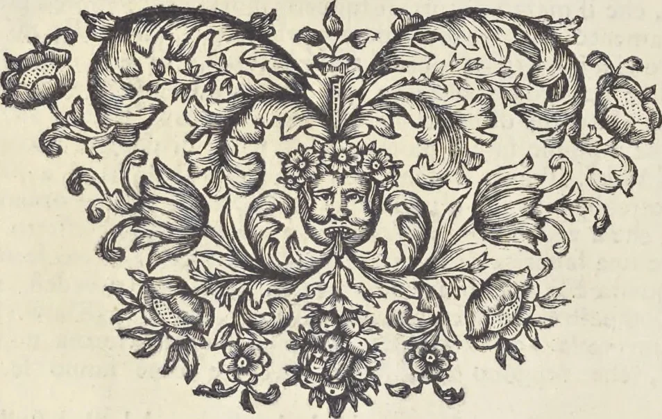An illustration from L'architettura civile : preparata sú la geometria, e ridotta alle prospettive : considerazioni pratiche, 1711, leaf 169
