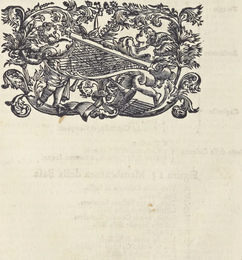 An illustration from L'architettura civile : preparata sú la geometria, e ridotta alle prospettive : considerazioni pratiche, 1711, leaf 185