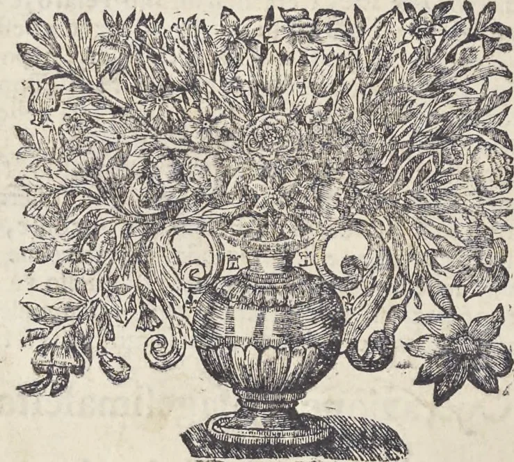 An illustration from L'architettura civile : preparata sú la geometria, e ridotta alle prospettive : considerazioni pratiche, 1711, leaf 293