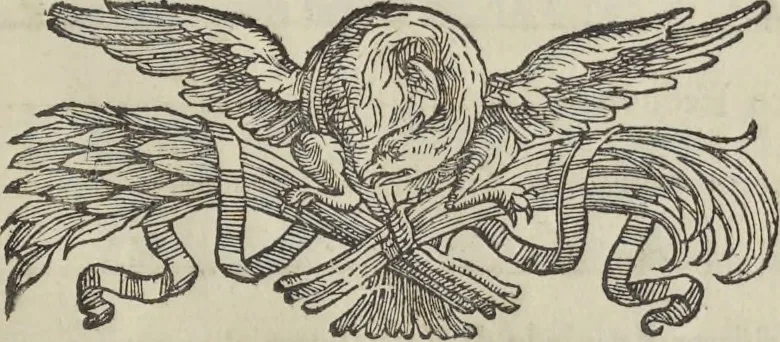 An illustration from L'architettura civile : preparata sú la geometria, e ridotta alle prospettive : considerazioni pratiche, 1711, leaf 62