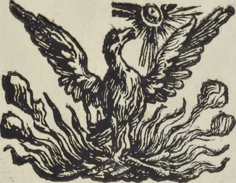 An illustration from L'architettura civile : preparata sú la geometria, e ridotta alle prospettive : considerazioni pratiche, 1711, leaf 84