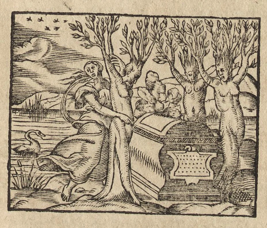 An illustration from Des decorations funebres : ou il est amplement traité des tentures, des lumieres, des mausolées, catafalques, inscriptions & autres ornemens funebres; avec tout ce qui s'est fait de plus considerable depuis plus d'un siecle, pour les papes, empereurs, rois, reines, cardinaux, princes, prelats, sçavans & personnes illustres en naissance, vertu & dignité, 1683, leaf 156