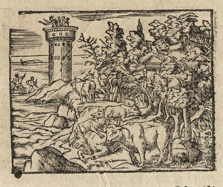 An illustration from Des decorations funebres : ou il est amplement traité des tentures, des lumieres, des mausolées, catafalques, inscriptions & autres ornemens funebres; avec tout ce qui s'est fait de plus considerable depuis plus d'un siecle, pour les papes, empereurs, rois, reines, cardinaux, princes, prelats, sçavans & personnes illustres en naissance, vertu & dignité, 1683, leaf 160