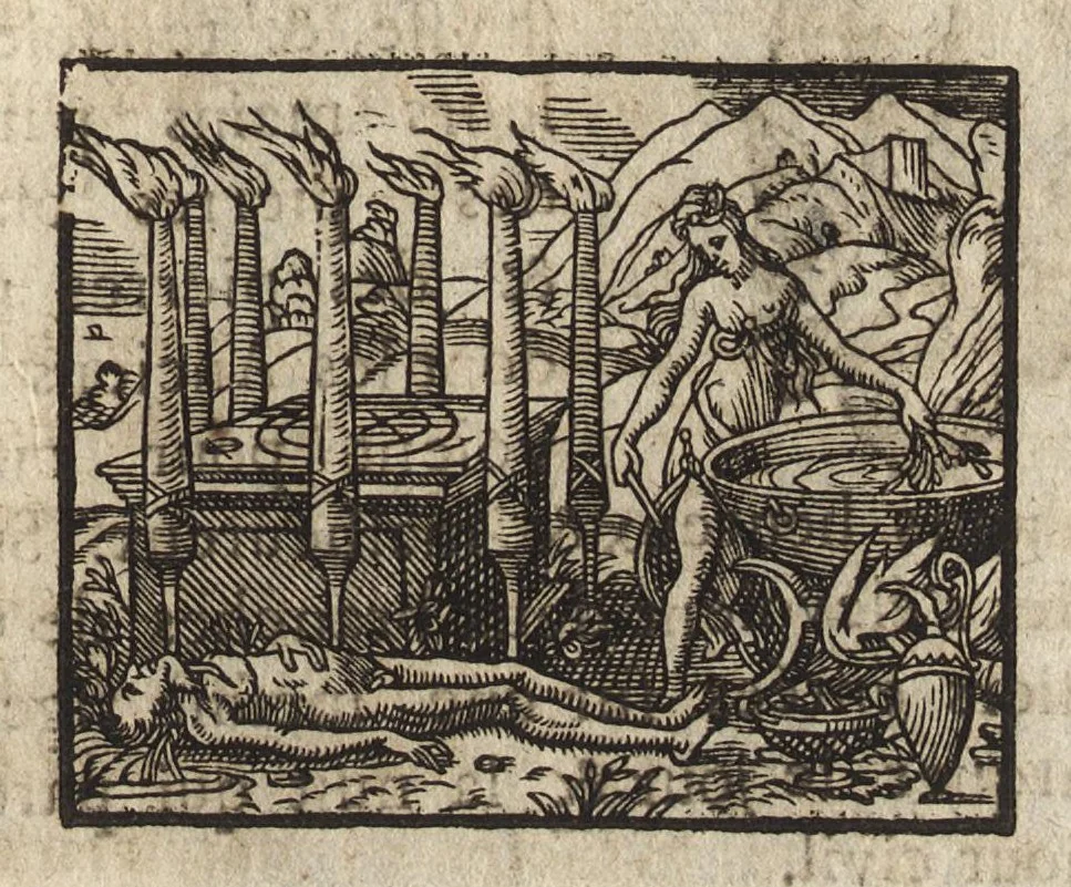 An illustration from Des decorations funebres : ou il est amplement traité des tentures, des lumieres, des mausolées, catafalques, inscriptions & autres ornemens funebres; avec tout ce qui s'est fait de plus considerable depuis plus d'un siecle, pour les papes, empereurs, rois, reines, cardinaux, princes, prelats, sçavans & personnes illustres en naissance, vertu & dignité, 1683, leaf 220
