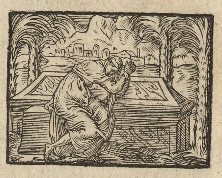 An illustration from Des decorations funebres : ou il est amplement traité des tentures, des lumieres, des mausolées, catafalques, inscriptions & autres ornemens funebres; avec tout ce qui s'est fait de plus considerable depuis plus d'un siecle, pour les papes, empereurs, rois, reines, cardinaux, princes, prelats, sçavans & personnes illustres en naissance, vertu & dignité, 1683, leaf 23