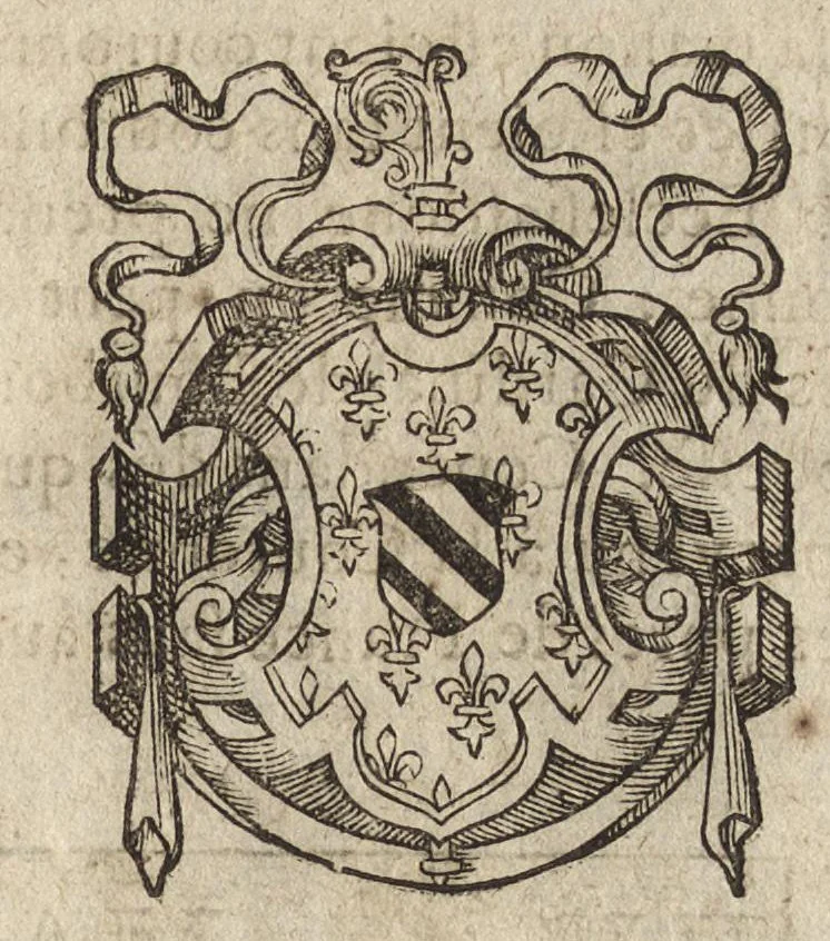 An illustration from Des decorations funebres : ou il est amplement traité des tentures, des lumieres, des mausolées, catafalques, inscriptions & autres ornemens funebres; avec tout ce qui s'est fait de plus considerable depuis plus d'un siecle, pour les papes, empereurs, rois, reines, cardinaux, princes, prelats, sçavans & personnes illustres en naissance, vertu & dignité, 1683, leaf 258