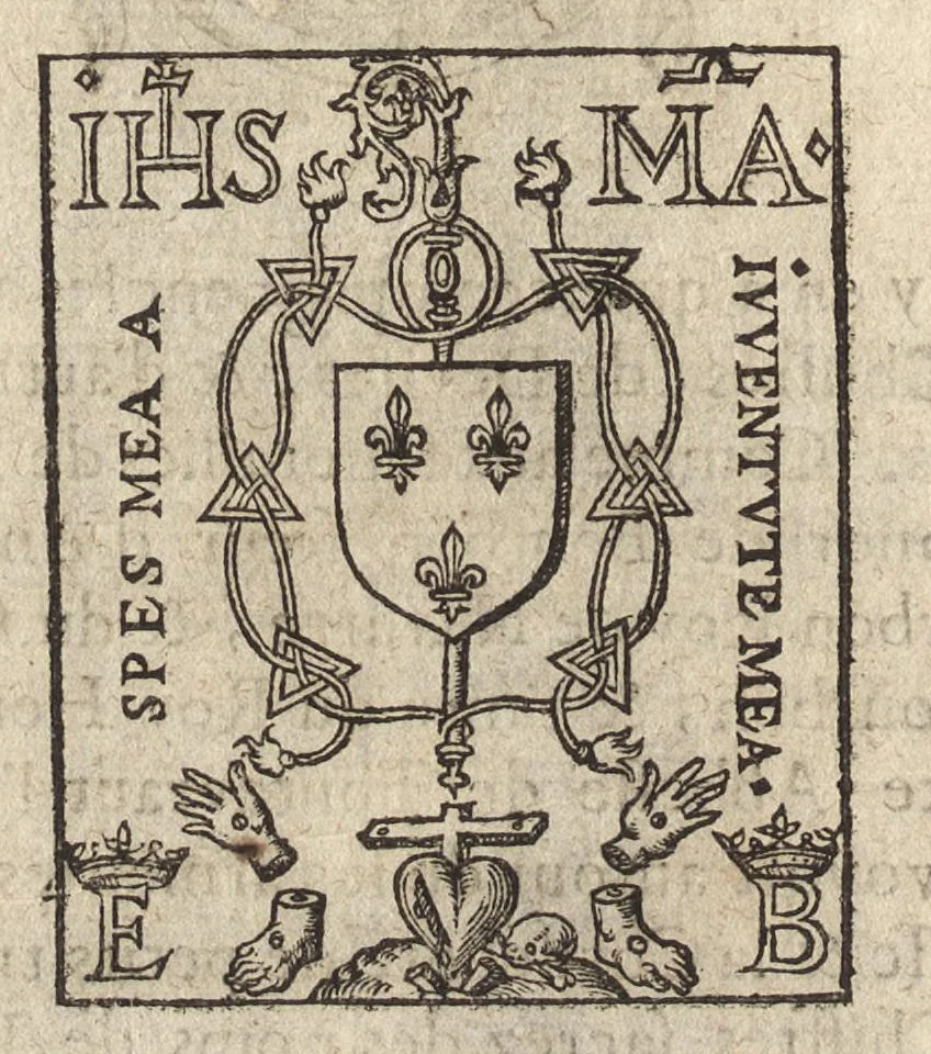 An illustration from Des decorations funebres : ou il est amplement traité des tentures, des lumieres, des mausolées, catafalques, inscriptions & autres ornemens funebres; avec tout ce qui s'est fait de plus considerable depuis plus d'un siecle, pour les papes, empereurs, rois, reines, cardinaux, princes, prelats, sçavans & personnes illustres en naissance, vertu & dignité, 1683, leaf 259