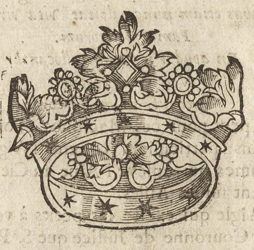 An illustration from Des decorations funebres : ou il est amplement traité des tentures, des lumieres, des mausolées, catafalques, inscriptions & autres ornemens funebres; avec tout ce qui s'est fait de plus considerable depuis plus d'un siecle, pour les papes, empereurs, rois, reines, cardinaux, princes, prelats, sçavans & personnes illustres en naissance, vertu & dignité, 1683, leaf 367