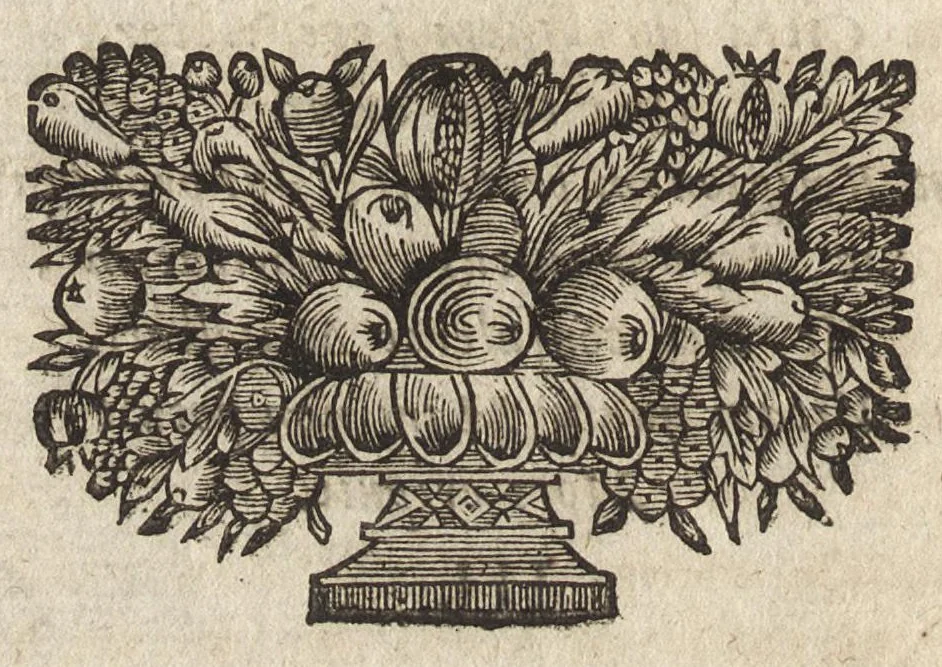 An illustration from Des decorations funebres : ou il est amplement traité des tentures, des lumieres, des mausolées, catafalques, inscriptions & autres ornemens funebres; avec tout ce qui s'est fait de plus considerable depuis plus d'un siecle, pour les papes, empereurs, rois, reines, cardinaux, princes, prelats, sçavans & personnes illustres en naissance, vertu & dignité, 1683, leaf 369