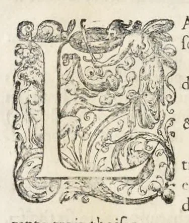 An illustration from La fortification demonstree et reduicte en art, 1620, leaf 101