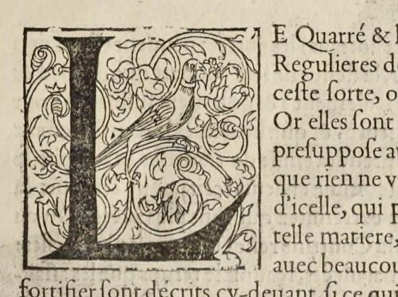 An illustration from La fortification demonstree et reduicte en art, 1620, leaf 134