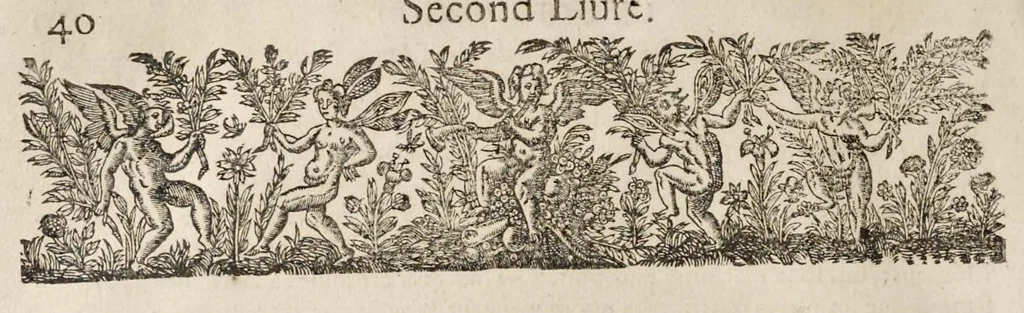 An illustration from La fortification demonstree et reduicte en art, 1620, leaf 59