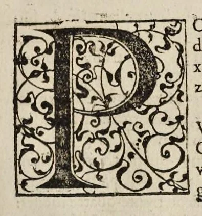 An illustration from La fortification demonstree et reduicte en art, 1620, leaf 86